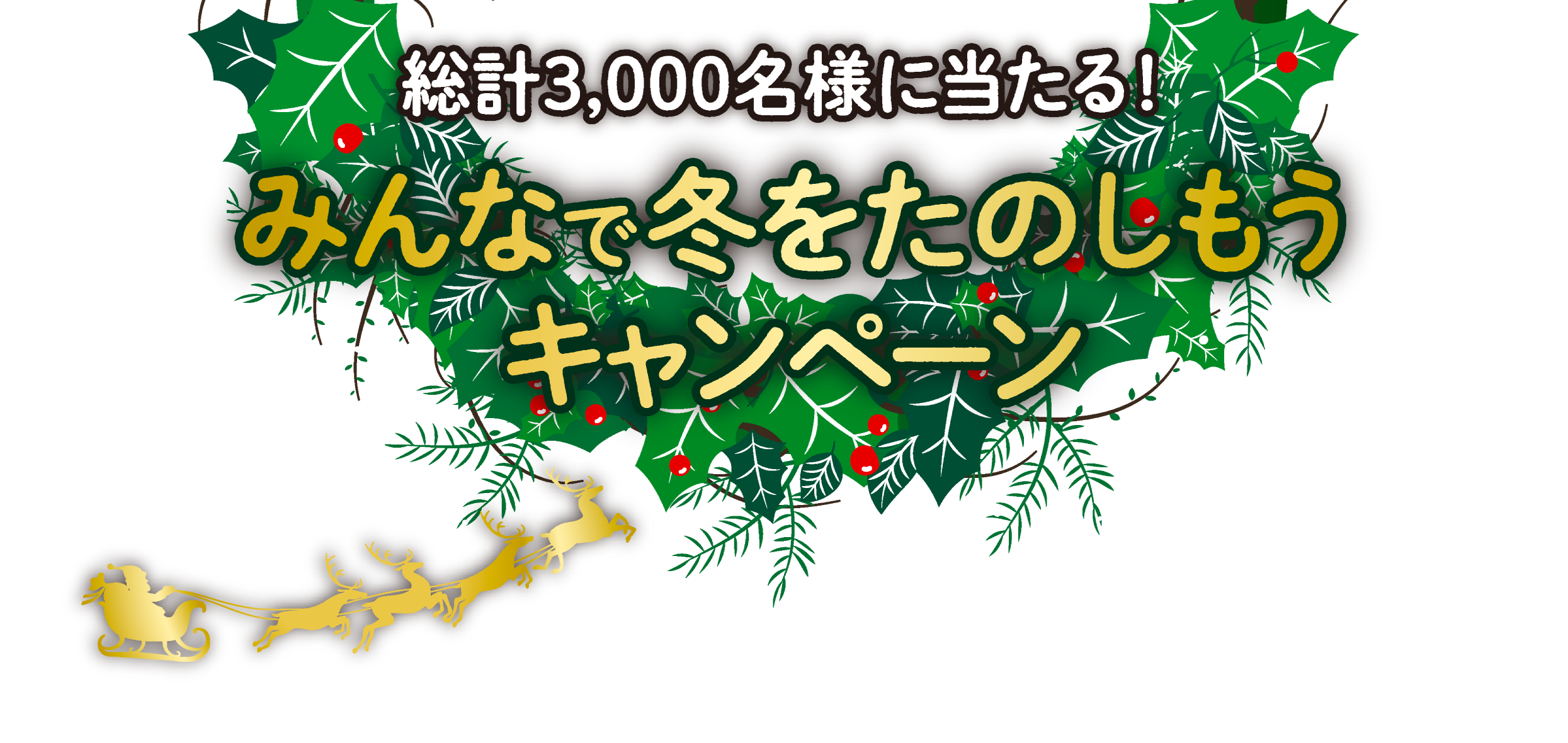 みんなで冬を楽しもうキャンペーン