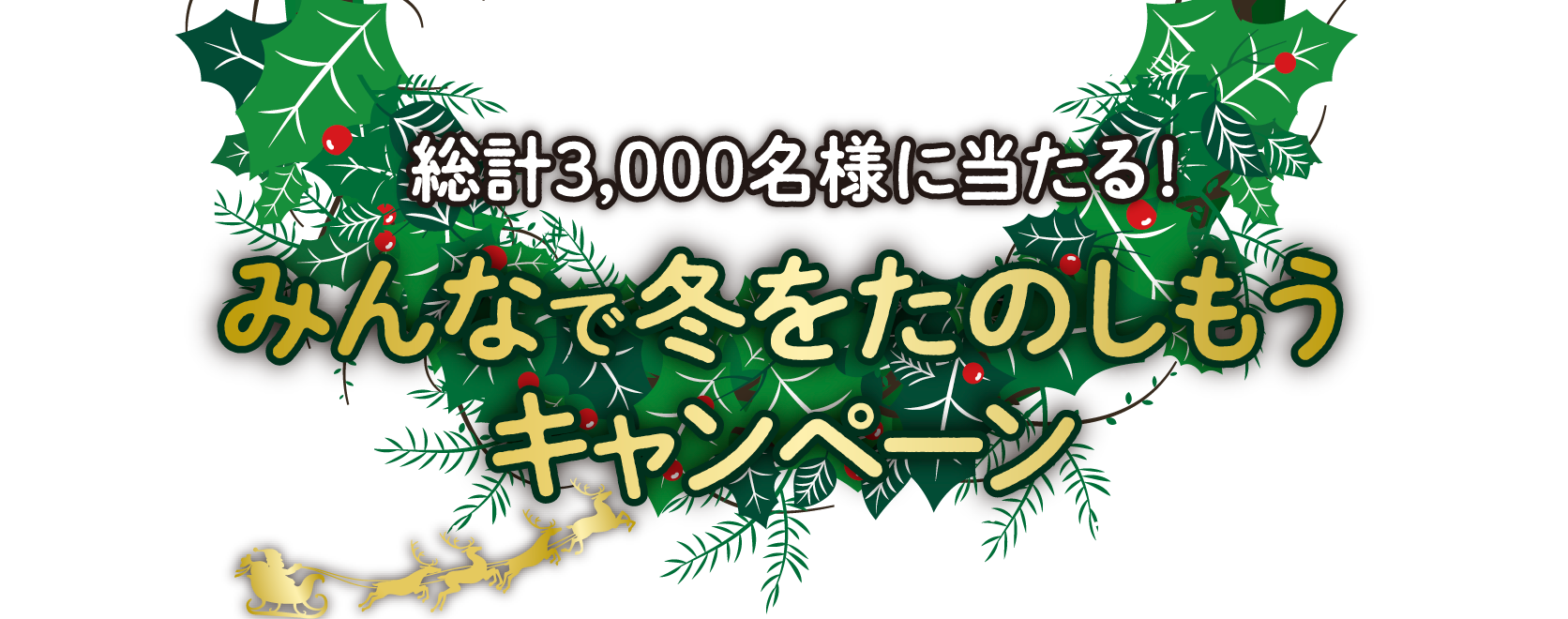 みんなで冬を楽しもうキャンペーン