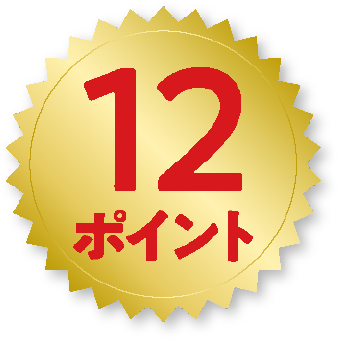 12ポイント